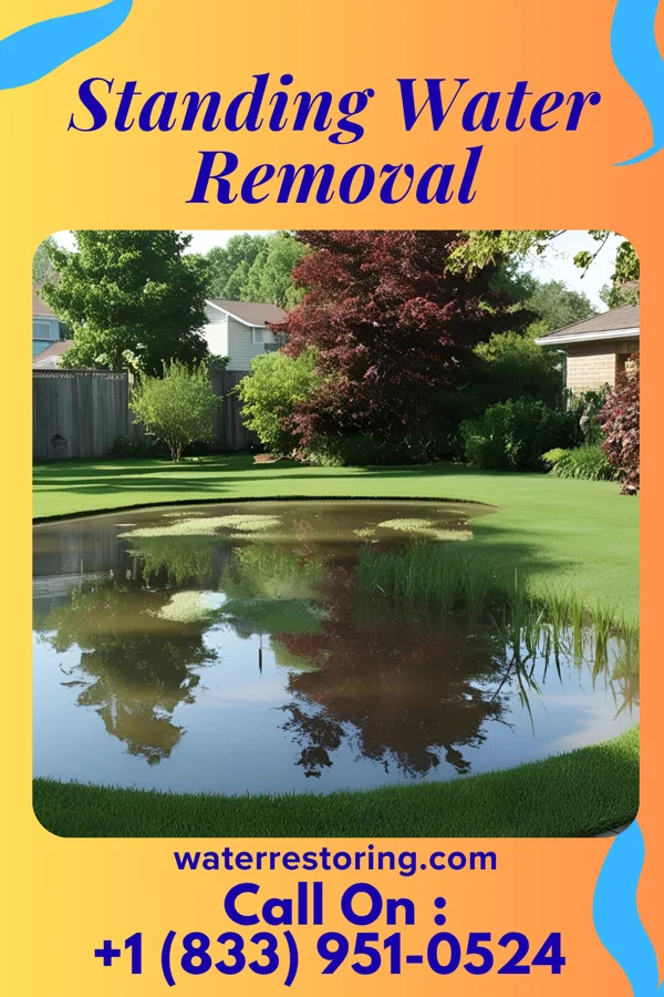 Standing Water Removal in Misquamicut, RI